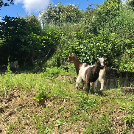 Casa Rural En Plena Naturaleza Lic Uvtr1524 Eguillor Zewnętrze zdjęcie