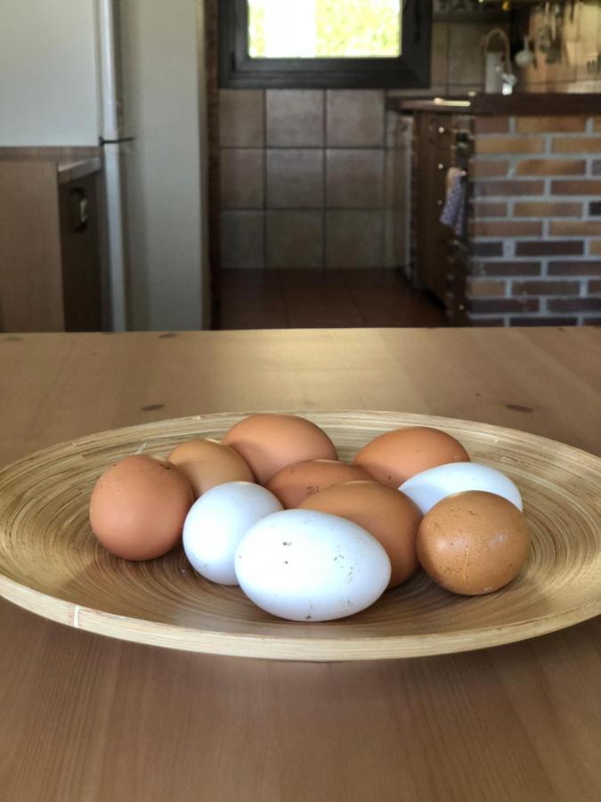 Hébergement de vacances En Plena Naturaleza Lic Uvtr1524
