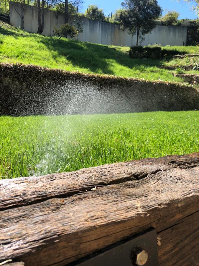 En Plena Naturaleza Lic Uvtr1524 Eguillor