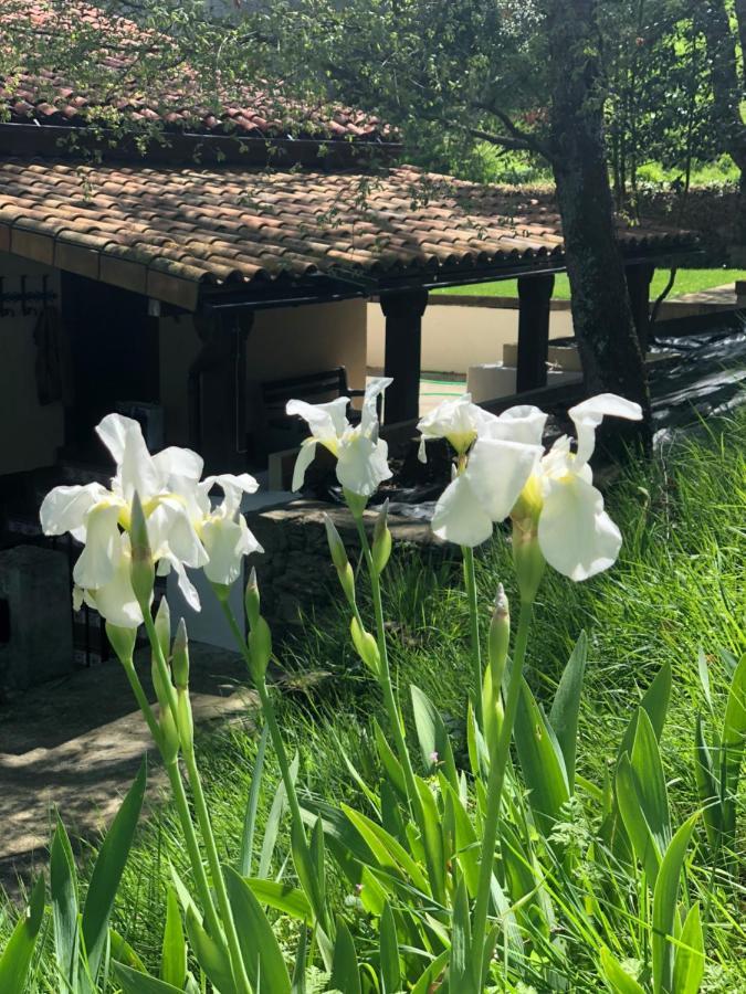 En Plena Naturaleza Lic Uvtr1524 Hébergement de vacances Eguillor