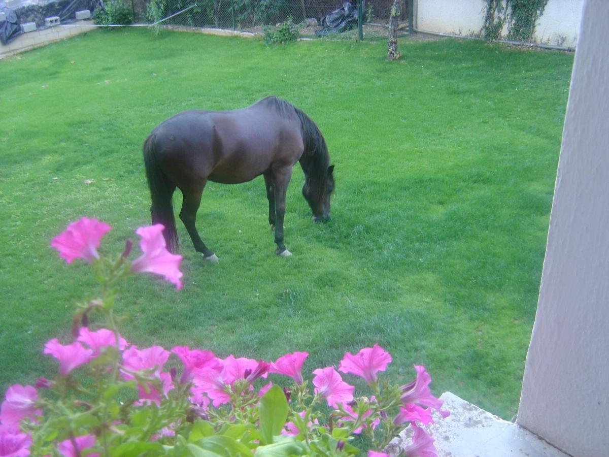 En Plena Naturaleza Lic Uvtr1524 *